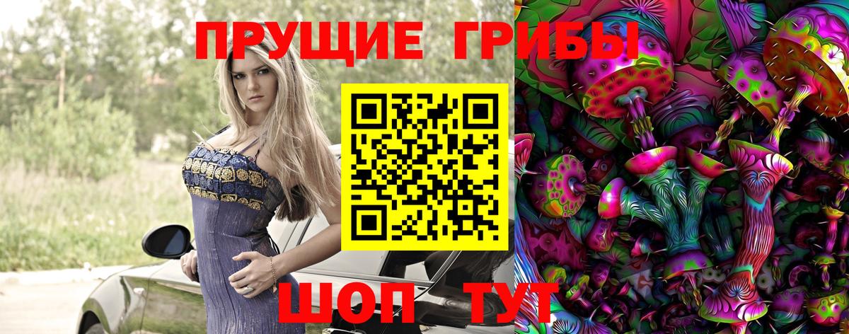 Псилоцибиновые грибы мухоморы Юрга